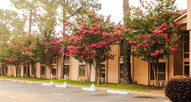 Regency Hotel & Conference Center Jackson Exterior foto